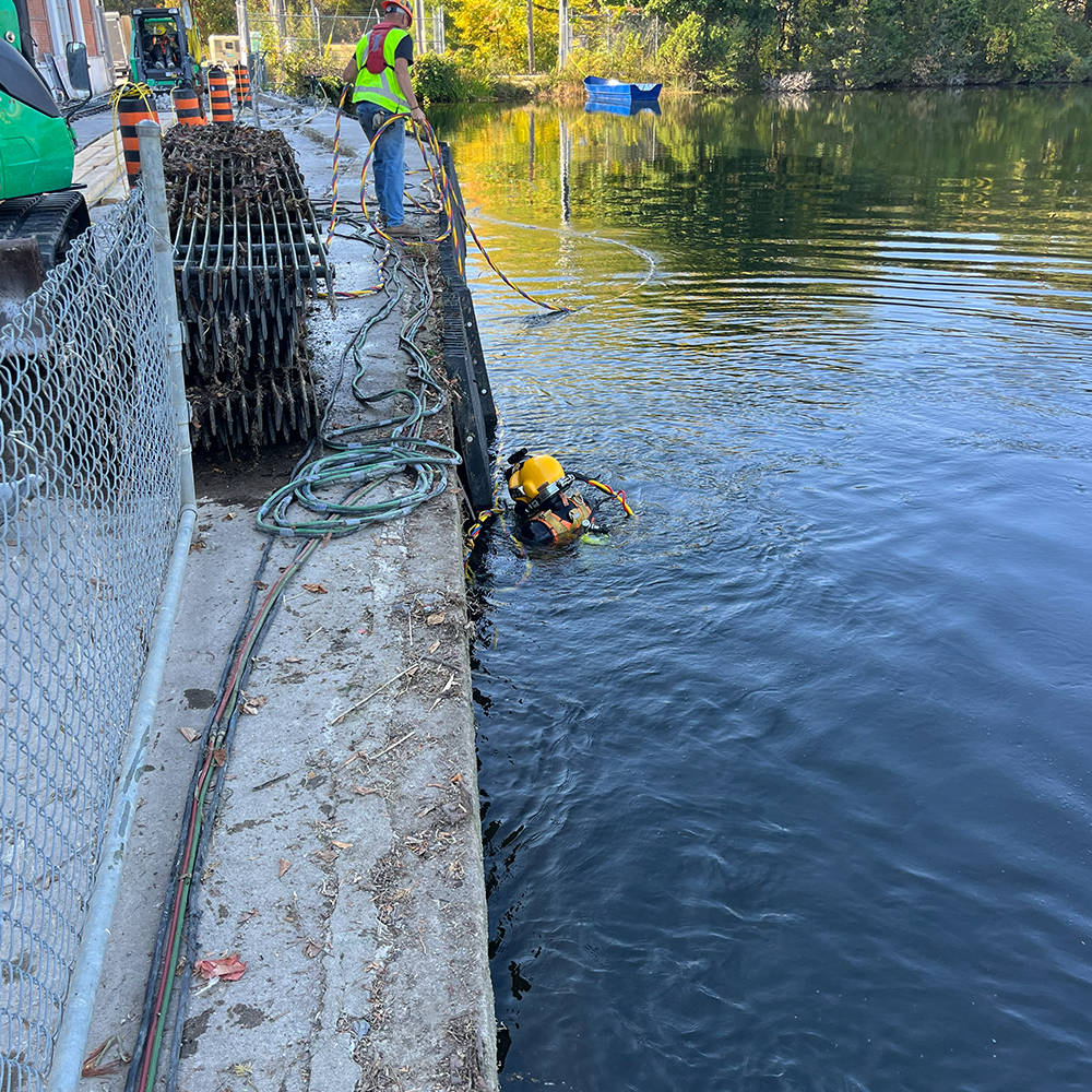 Shoreline Restoration