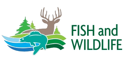 Shoreline Restoration