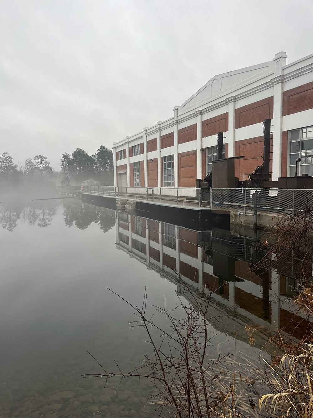 Shoreline Restoration