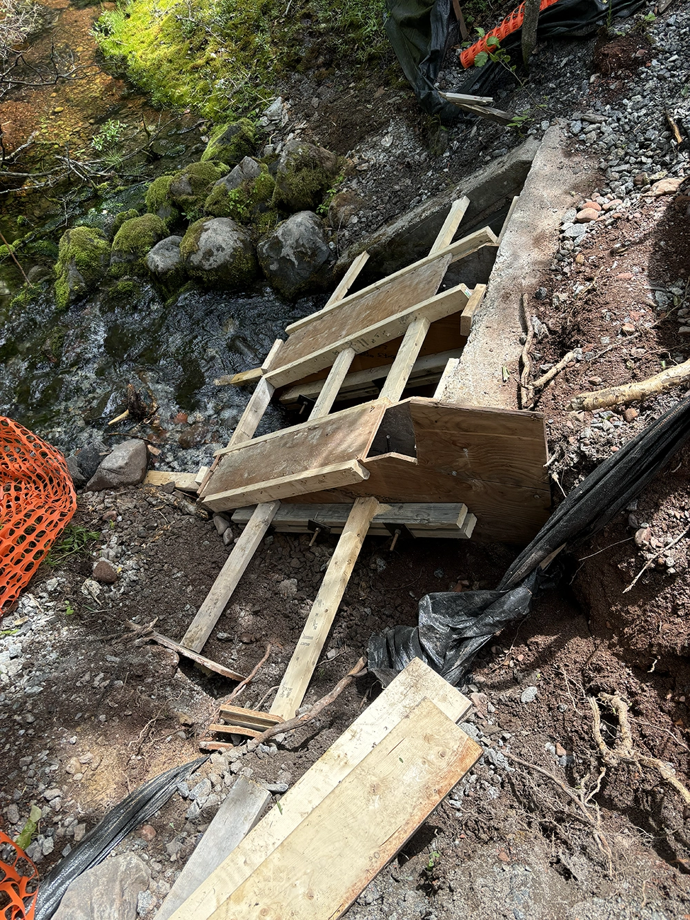 Shoreline Restoration