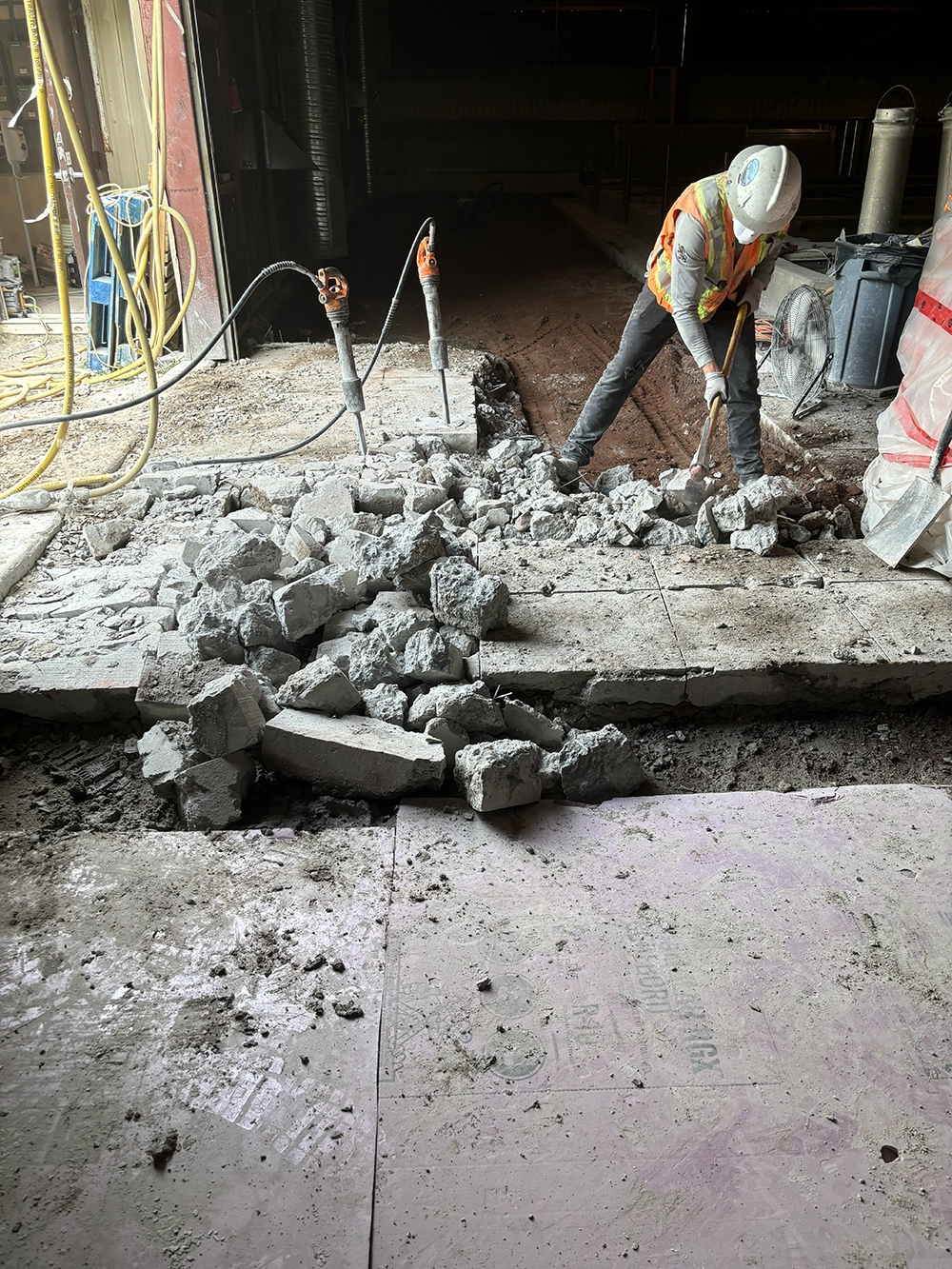 Shoreline Restoration