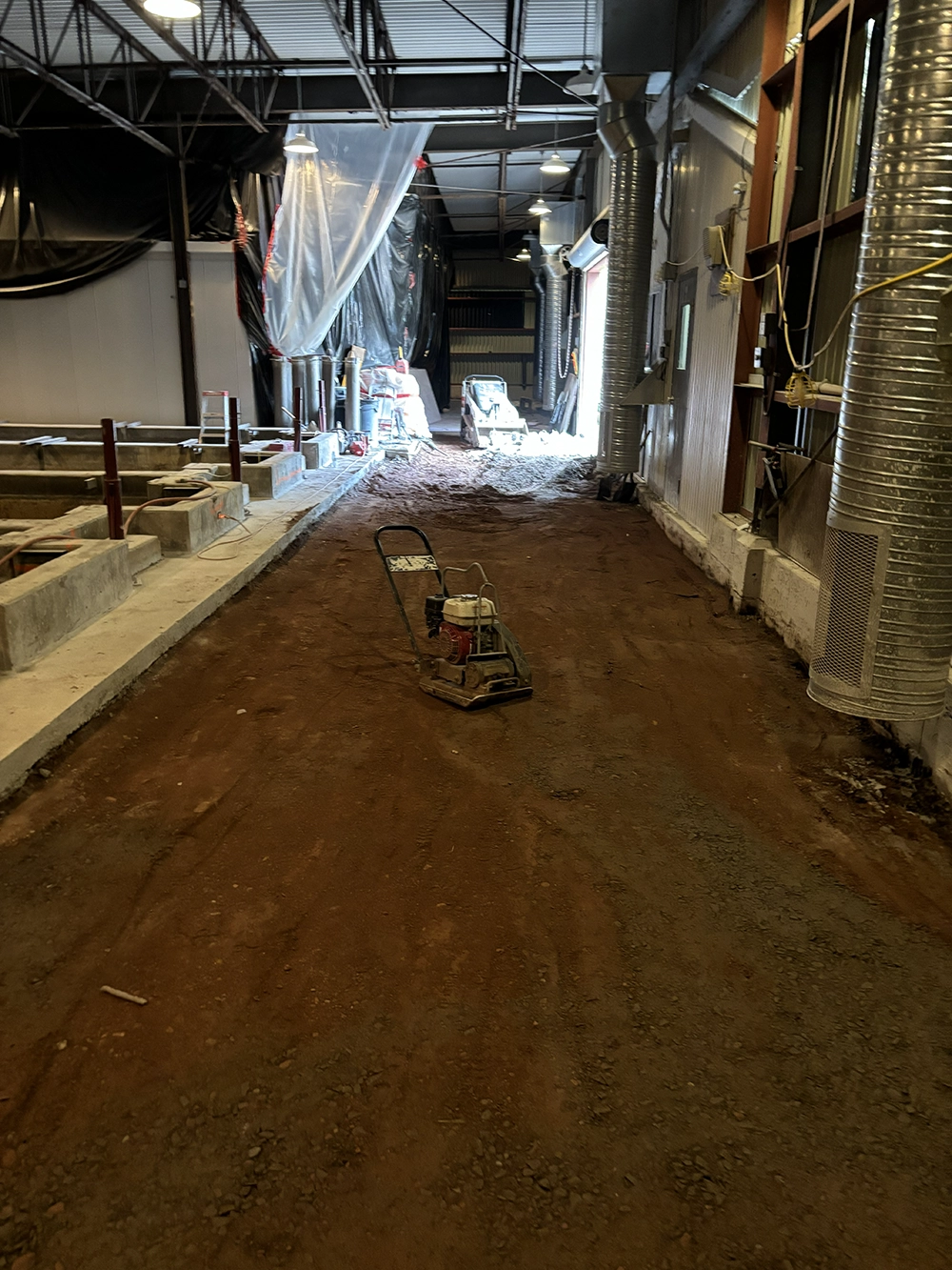 Shoreline Restoration