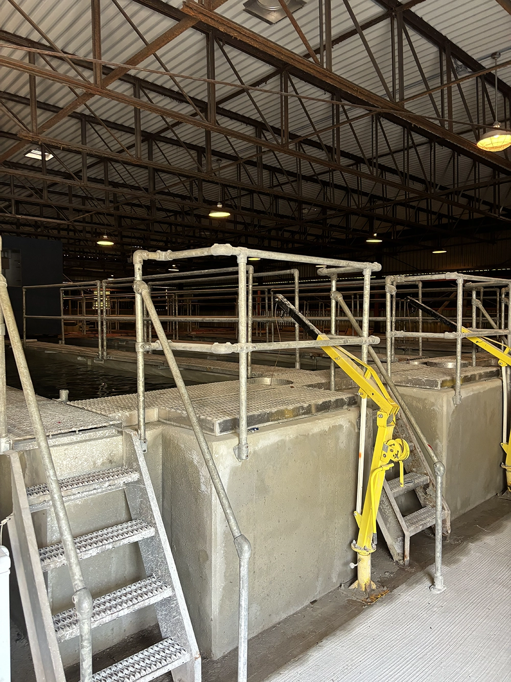 Shoreline Restoration