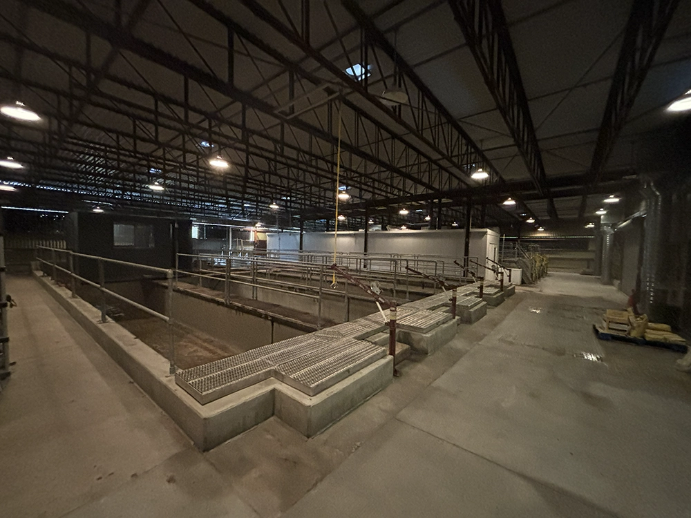 Shoreline Restoration