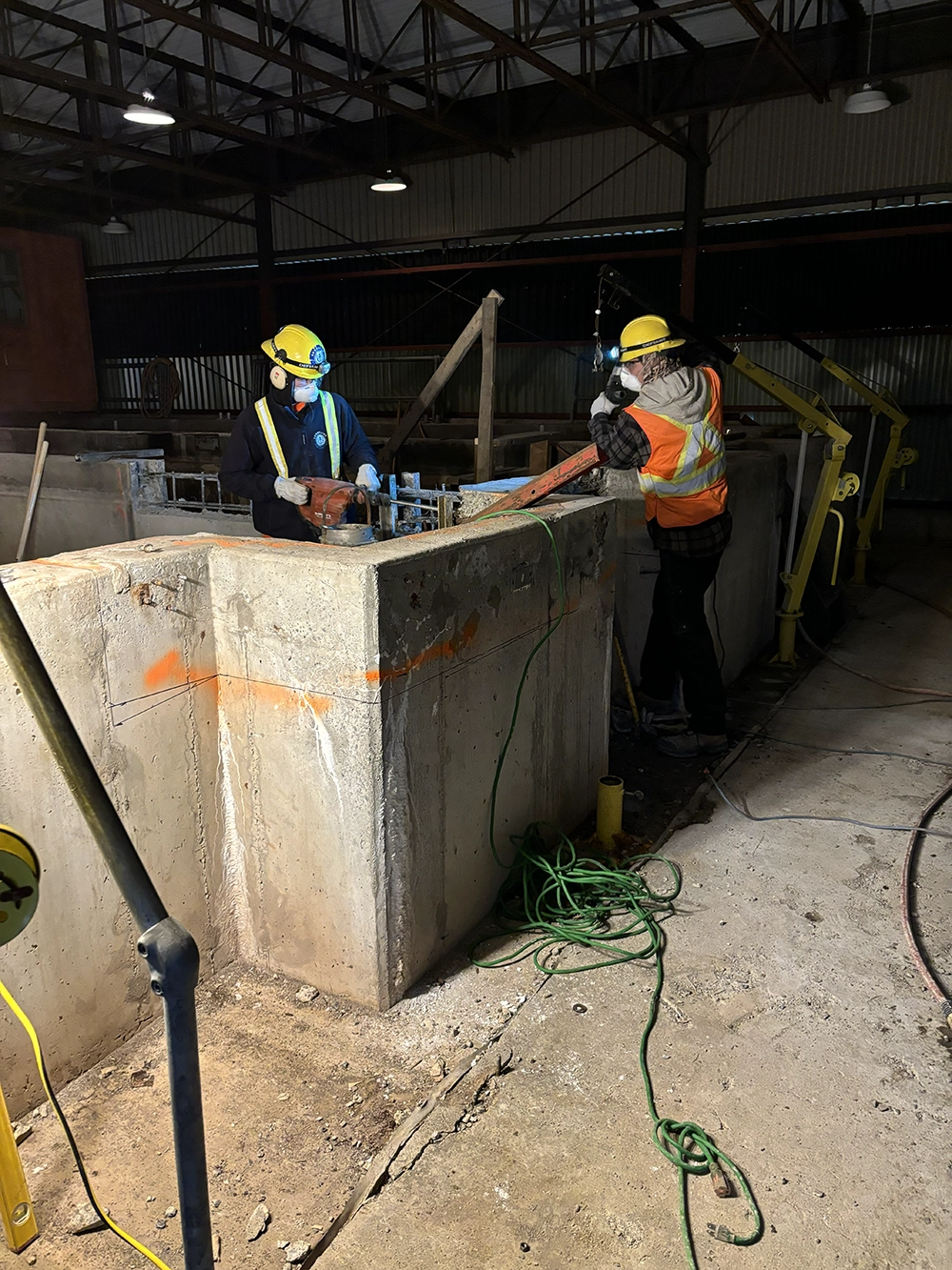 Shoreline Restoration