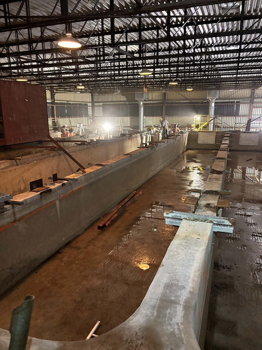 Shoreline Restoration