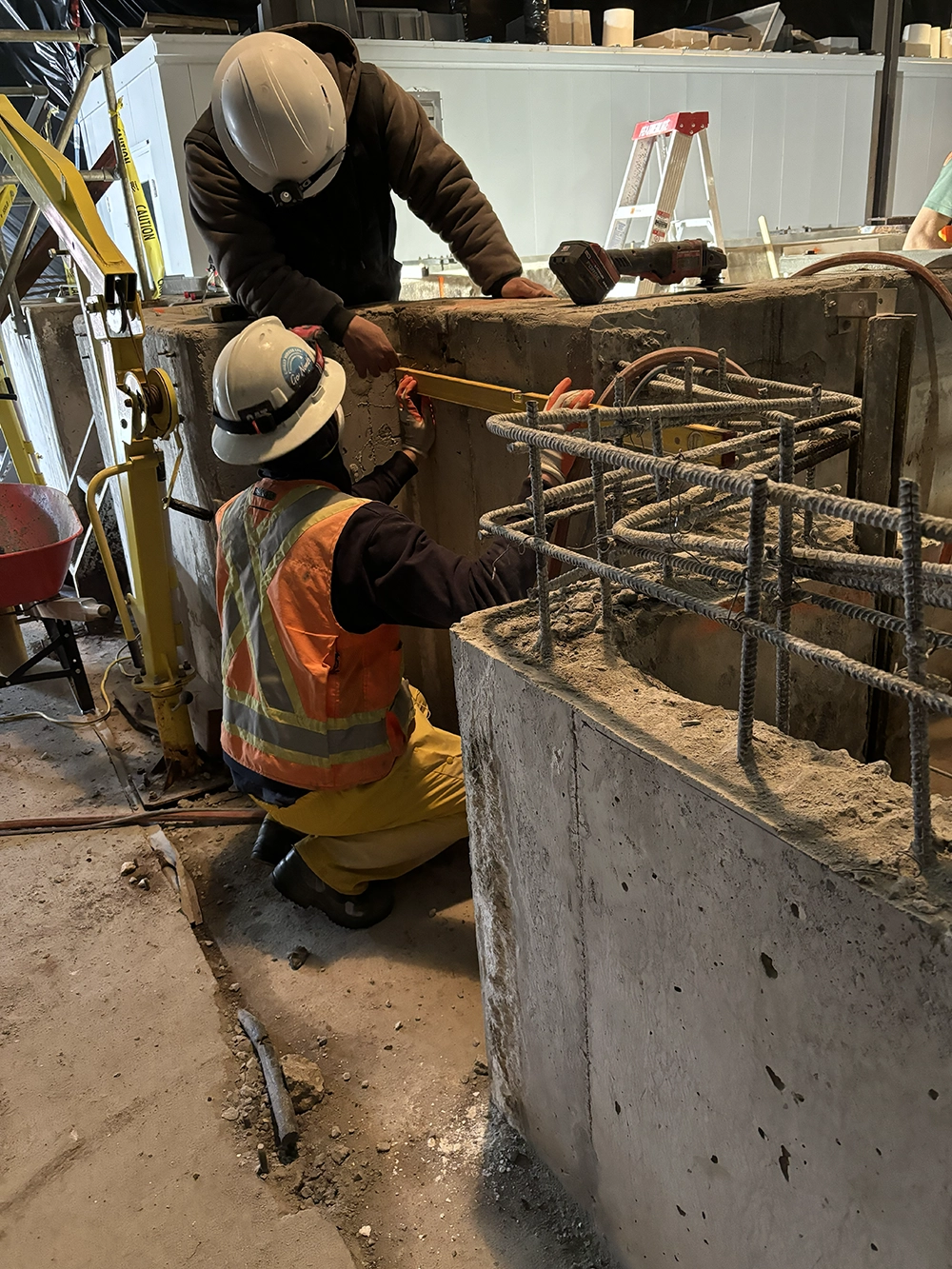 Shoreline Restoration