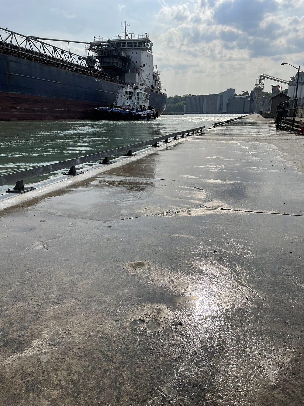 Shoreline Restoration