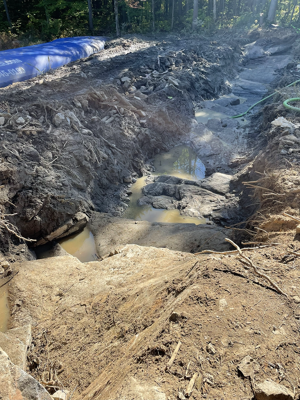 Shoreline Restoration