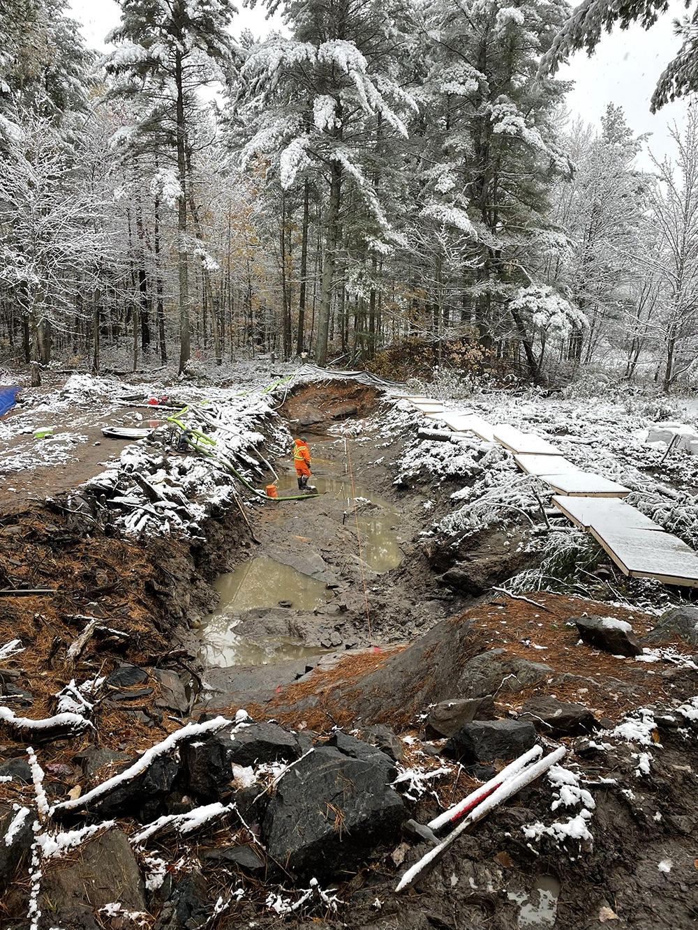 Shoreline Restoration