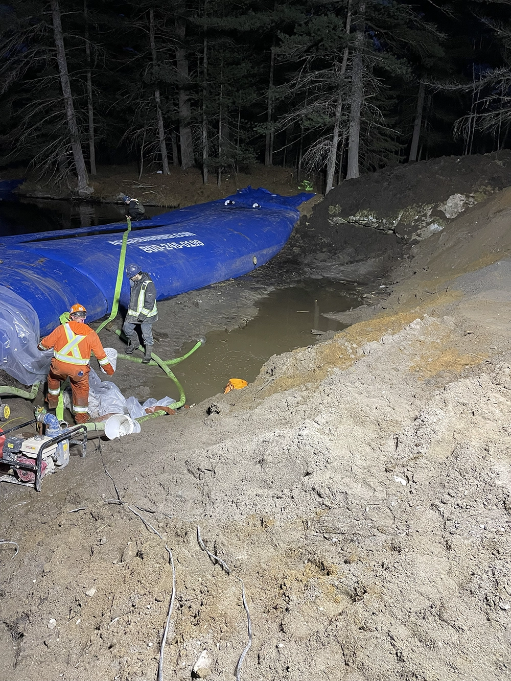 Shoreline Restoration