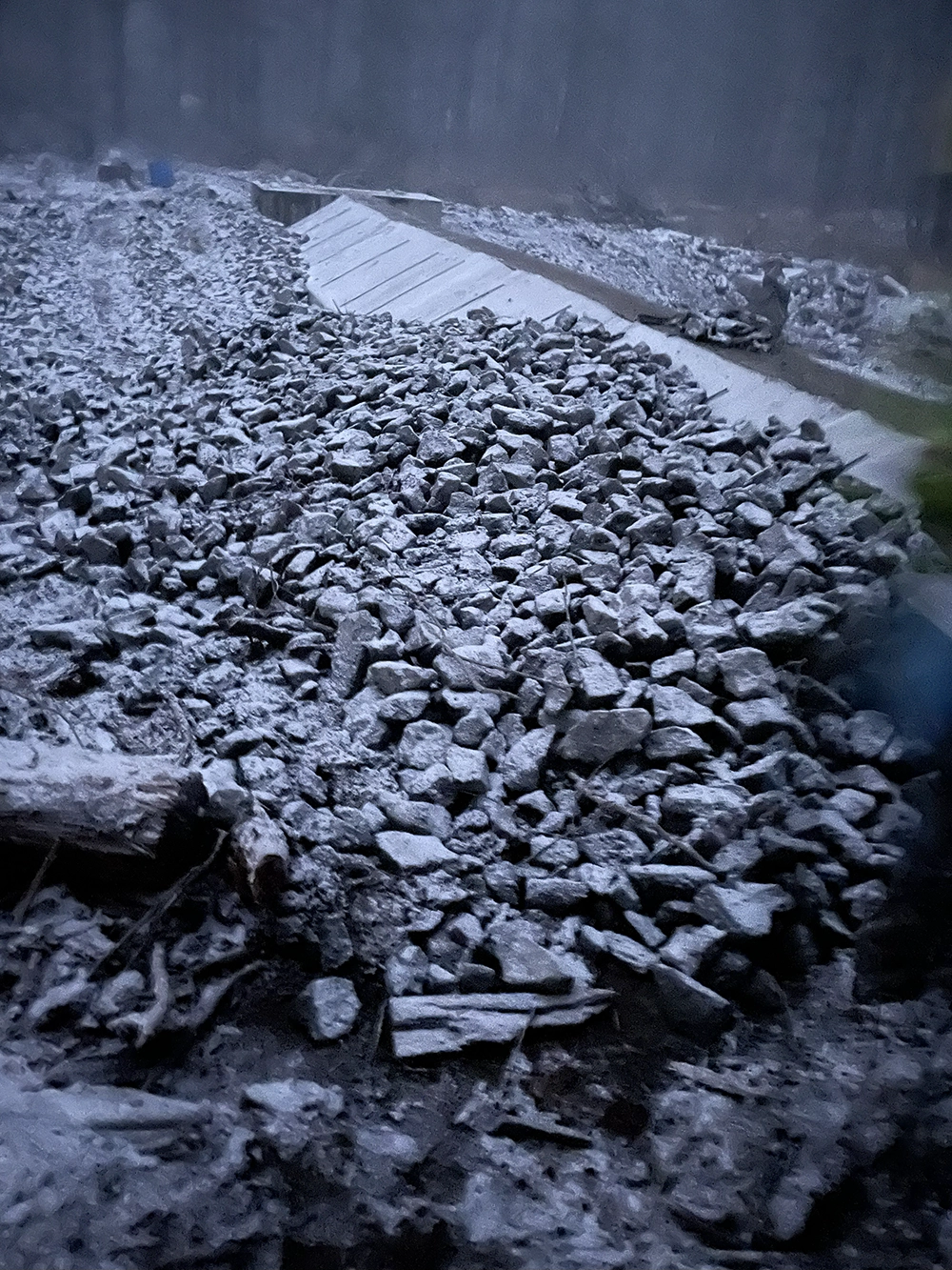 Shoreline Restoration