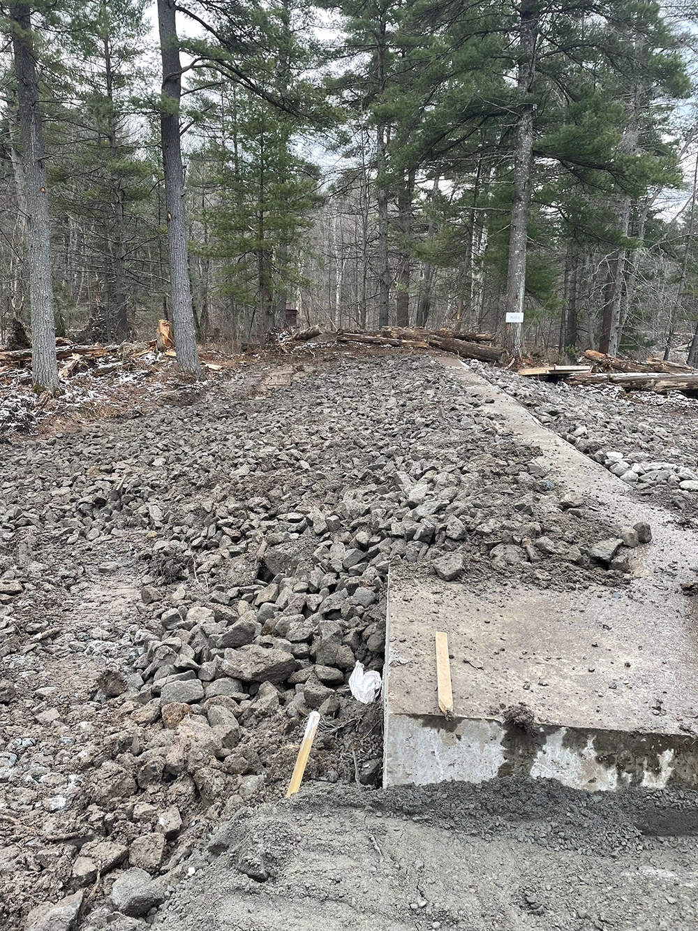 Shoreline Restoration