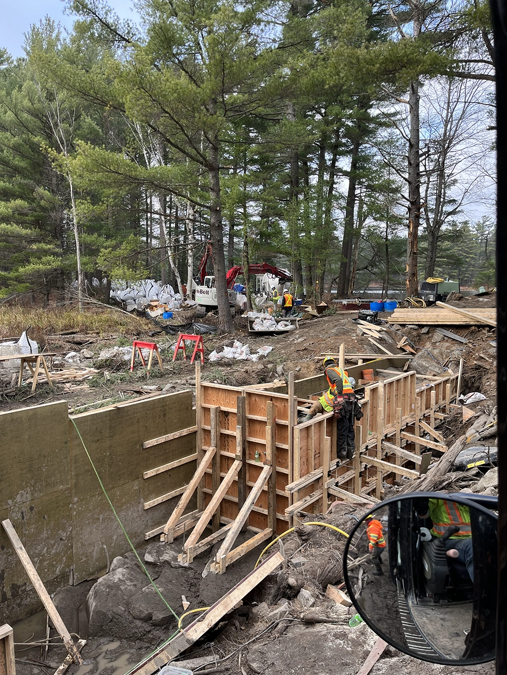 Shoreline Restoration