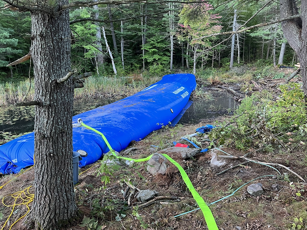 Shoreline Restoration