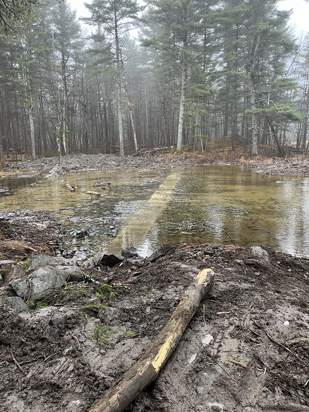 Shoreline Restoration