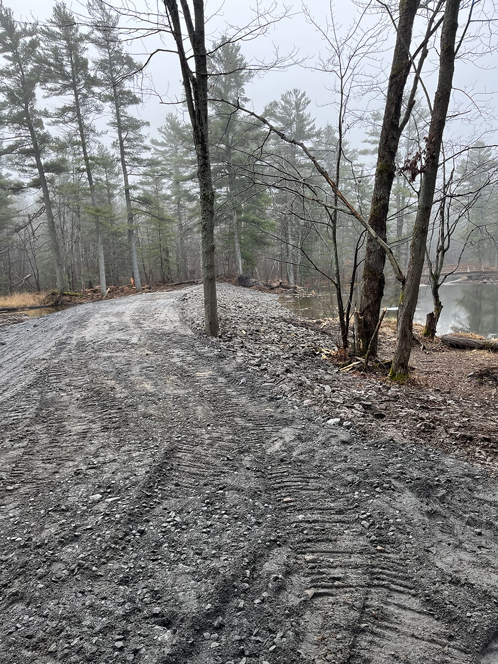 Shoreline Restoration