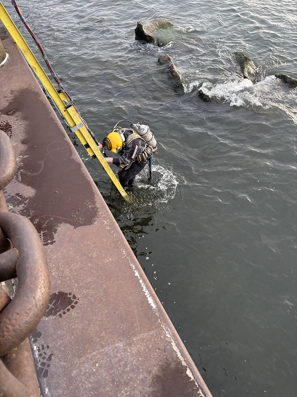 Shoreline Restoration
