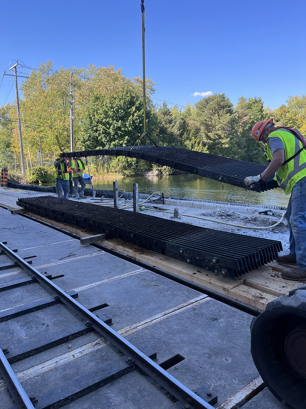 Shoreline Restoration