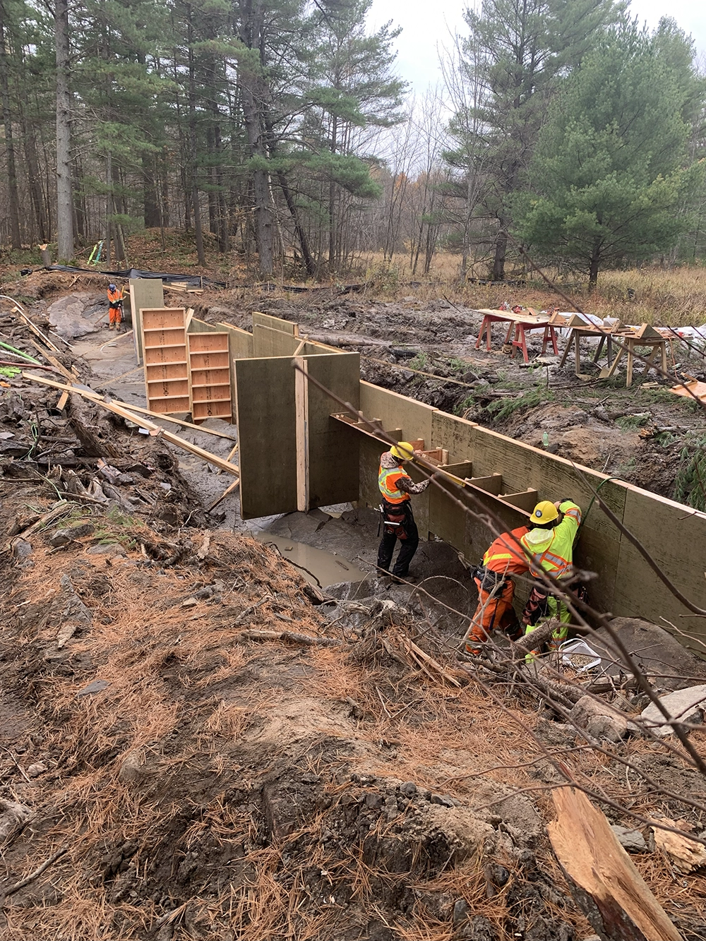 Shoreline Restoration