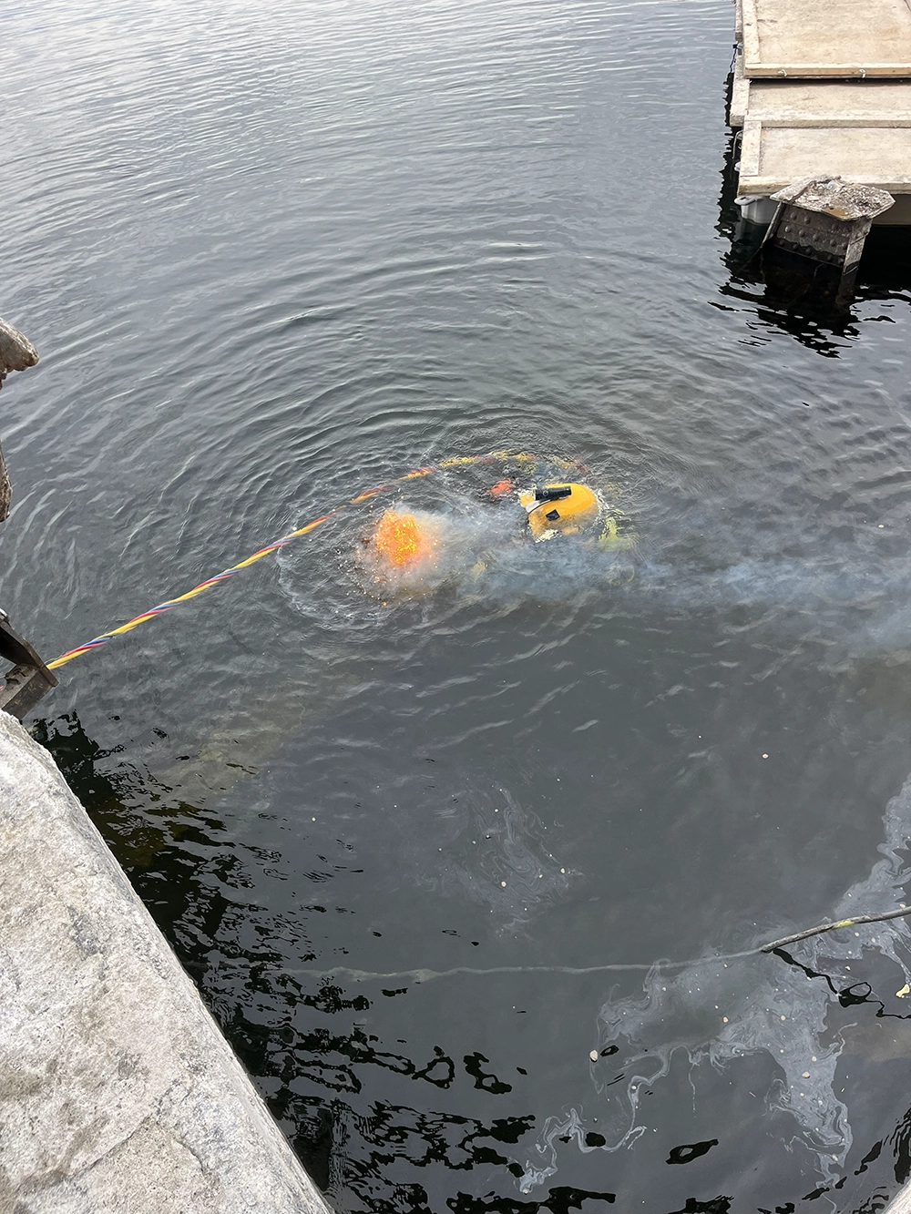 Shoreline Restoration