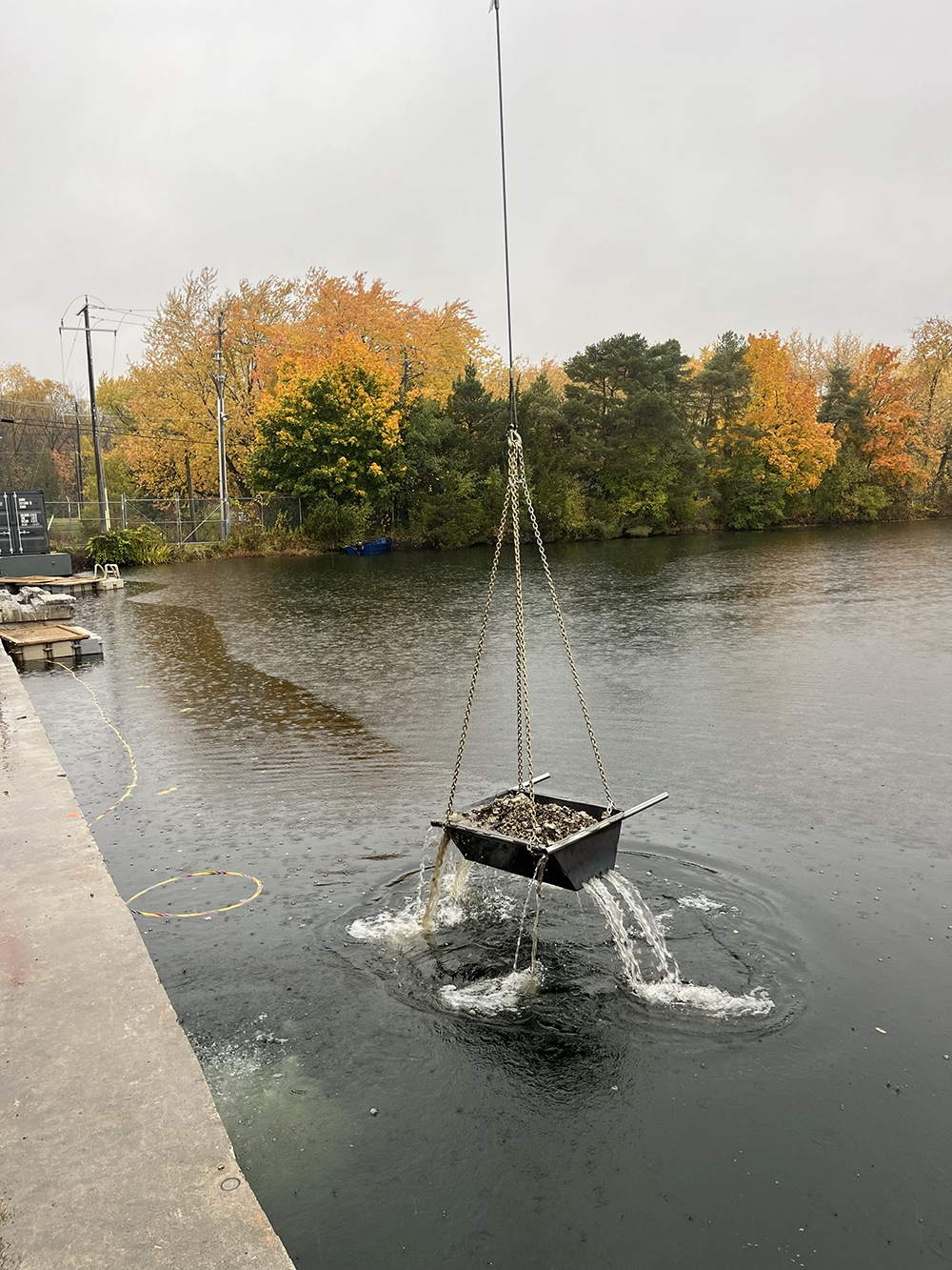 Shoreline Restoration