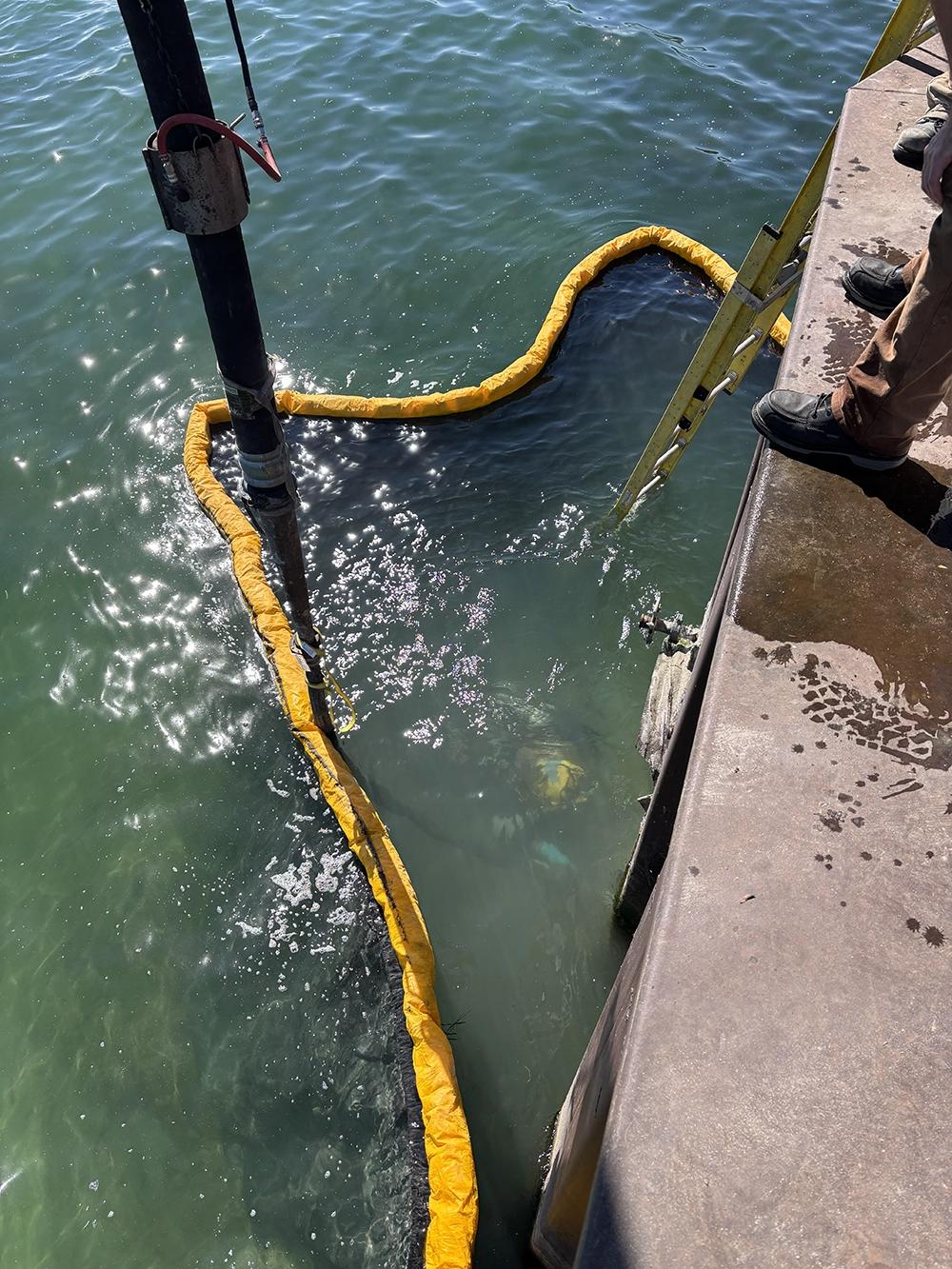 Shoreline Restoration