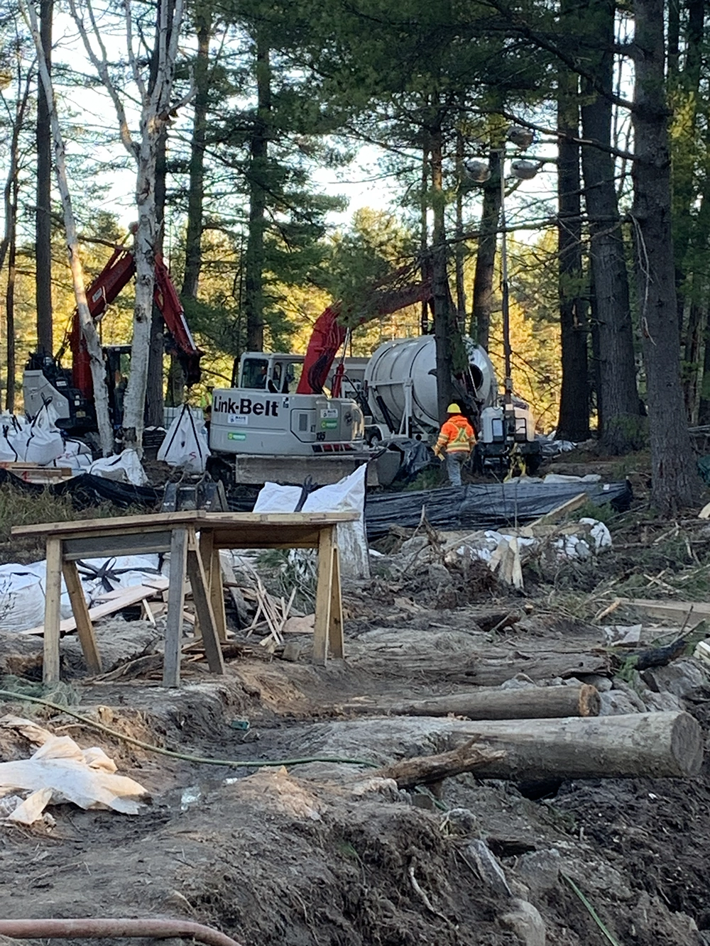 Shoreline Restoration