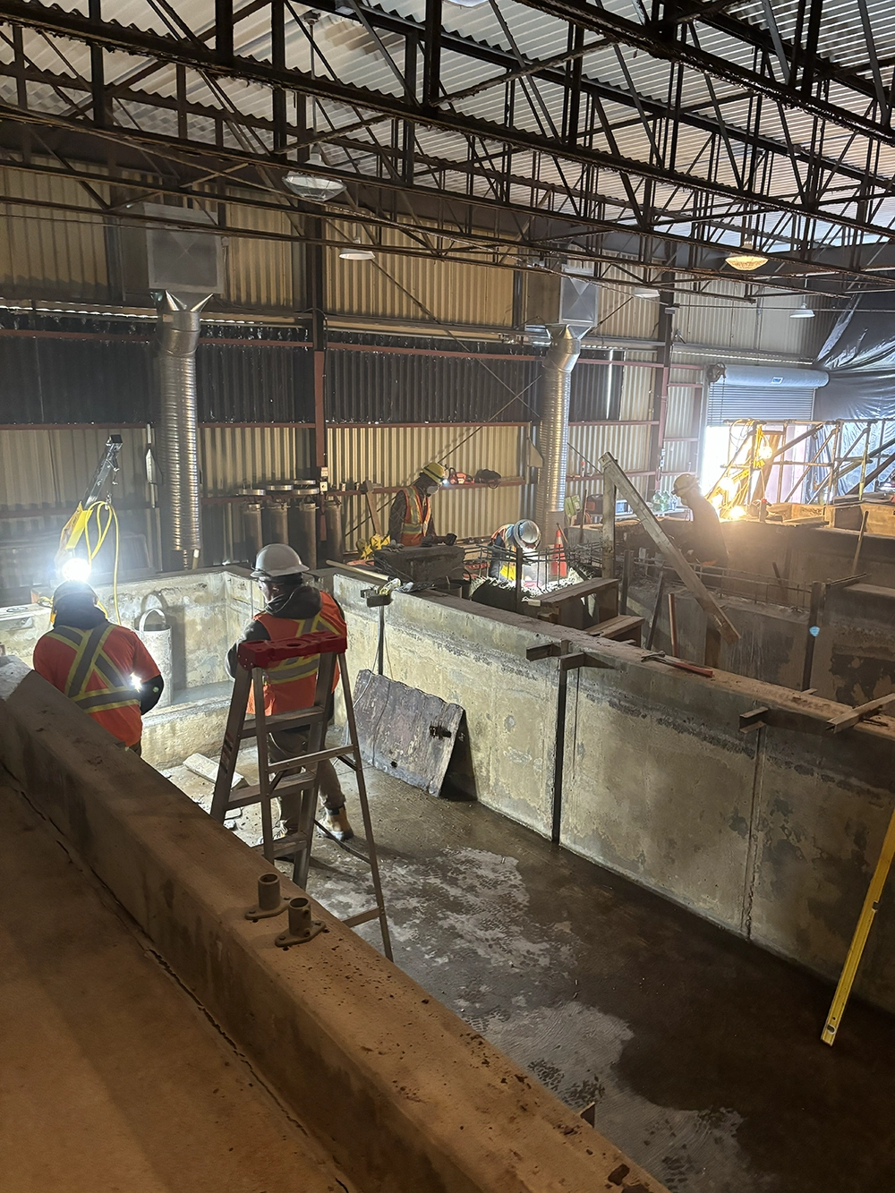 Shoreline Restoration