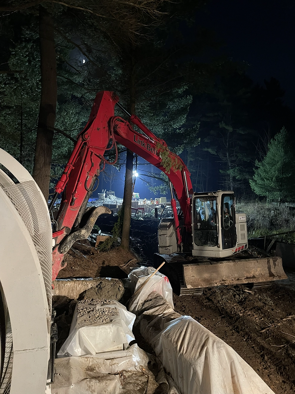 Shoreline Restoration