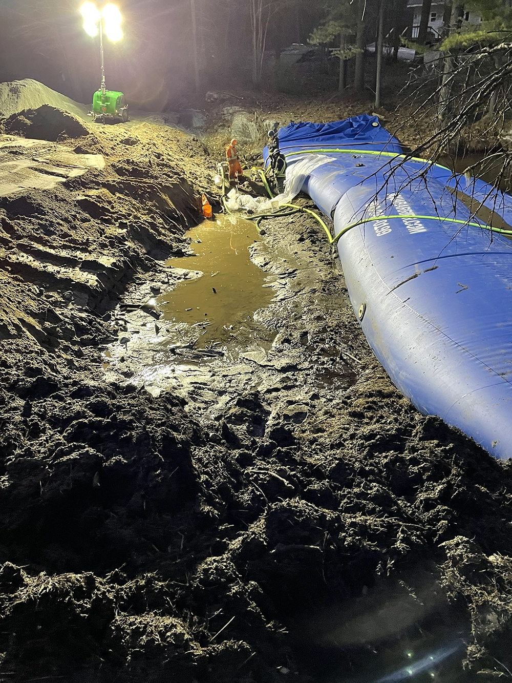 Shoreline Restoration