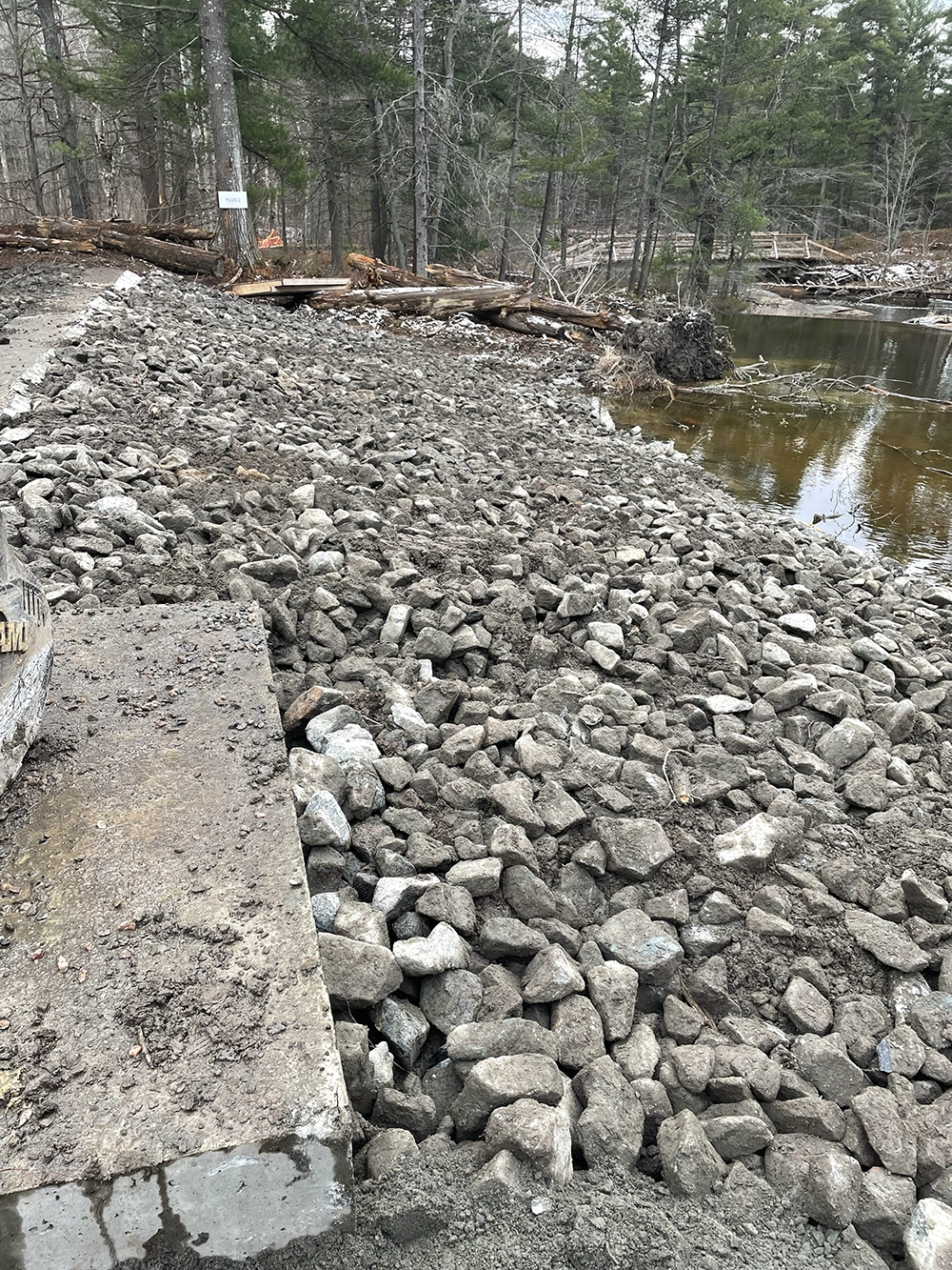 Shoreline Restoration