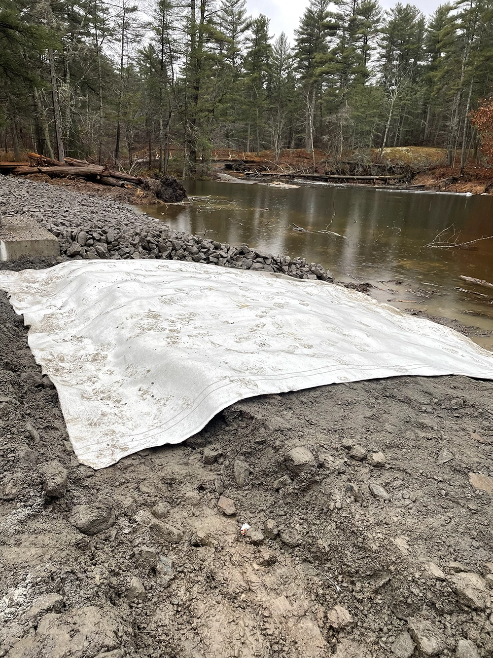 Shoreline Restoration