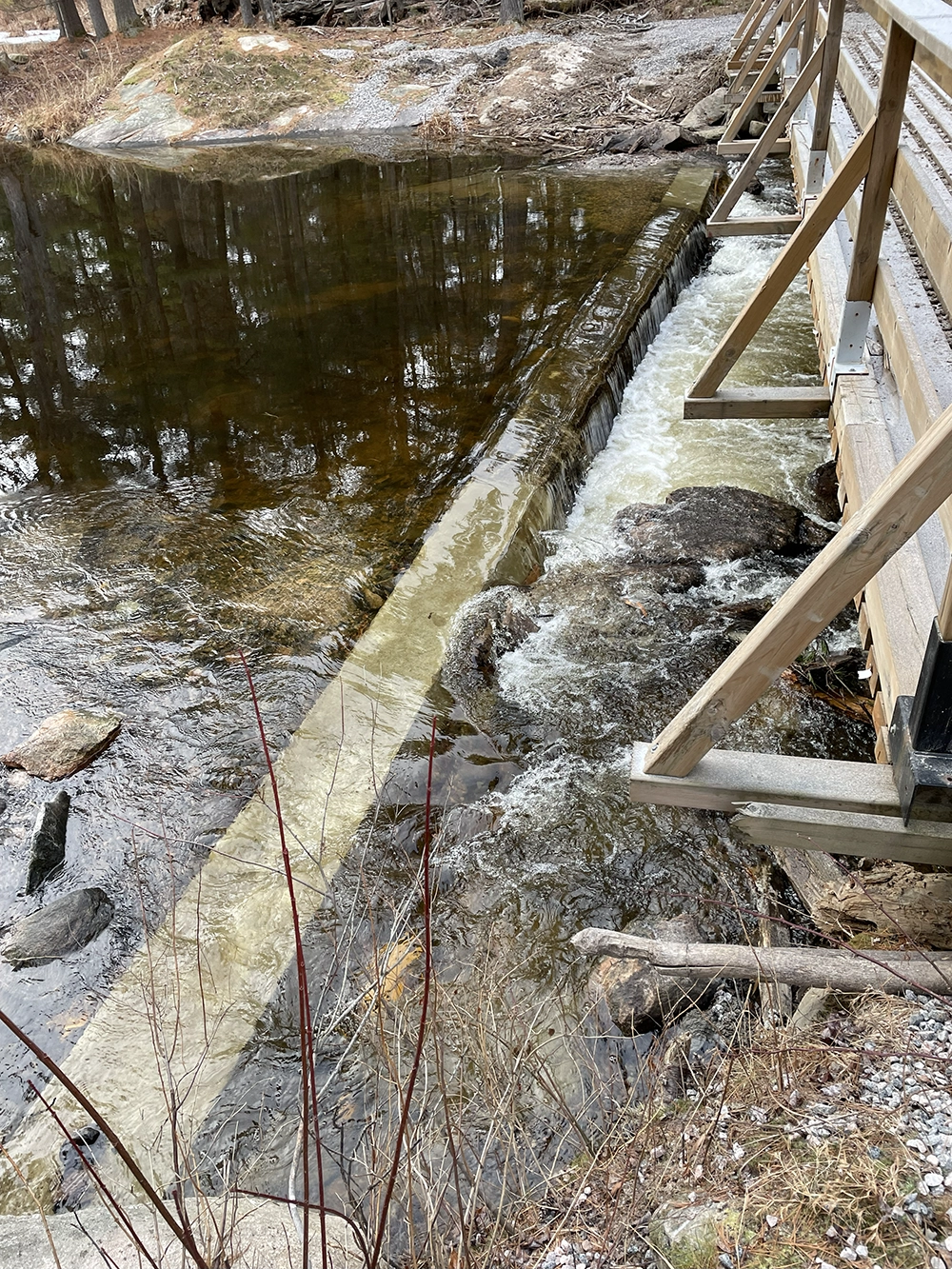 Shoreline Restoration