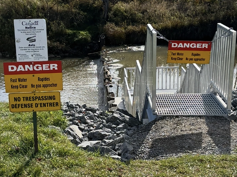 Shoreline Restoration