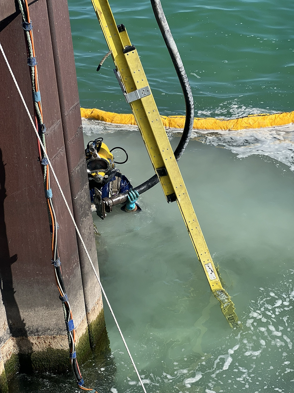 Shoreline Restoration