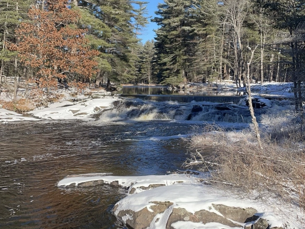 Shoreline Restoration