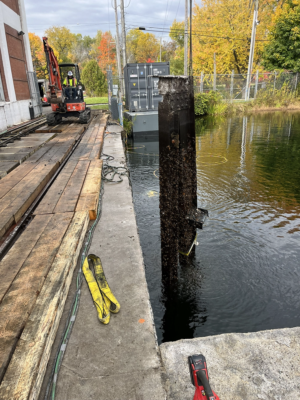 Shoreline Restoration