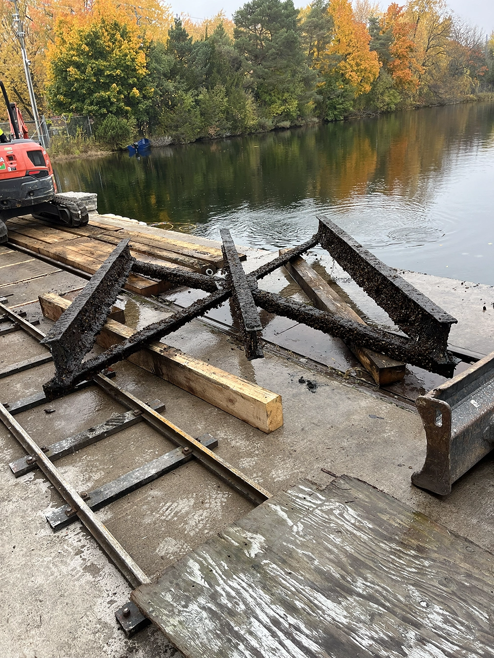 Shoreline Restoration