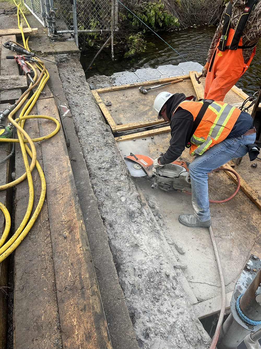 Shoreline Restoration