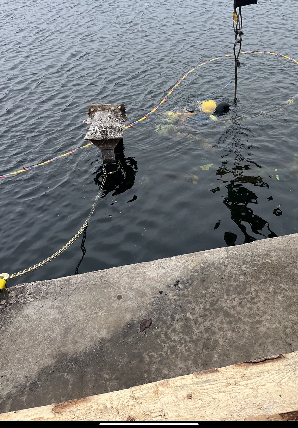Shoreline Restoration