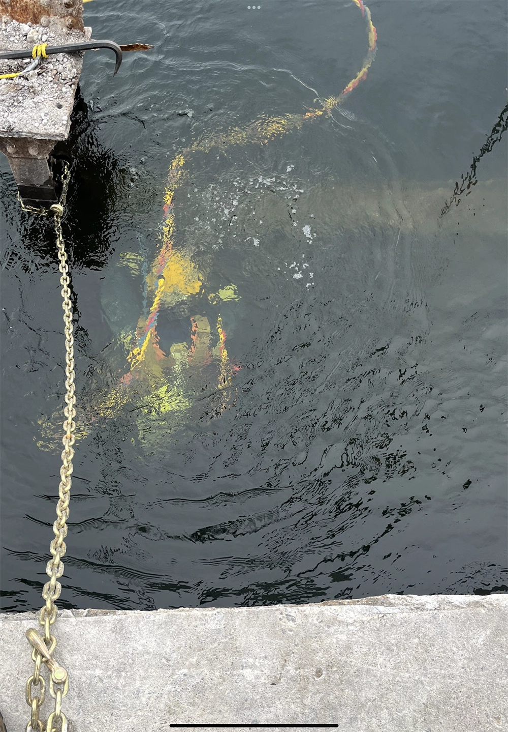 Shoreline Restoration