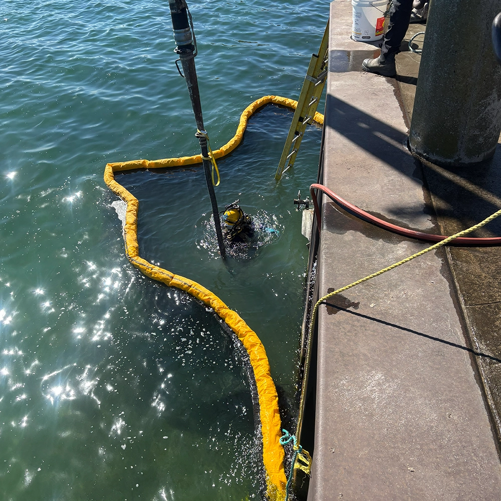 Shoreline Restoration