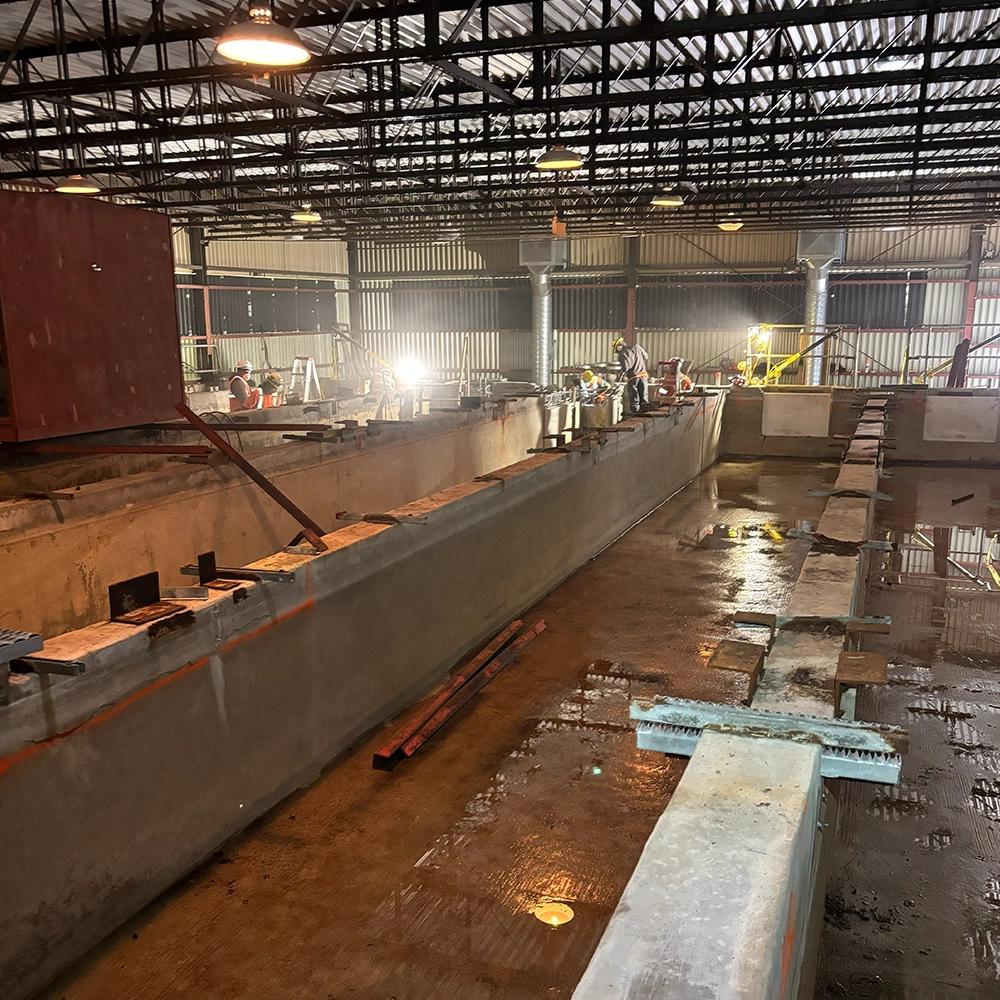 Shoreline Restoration