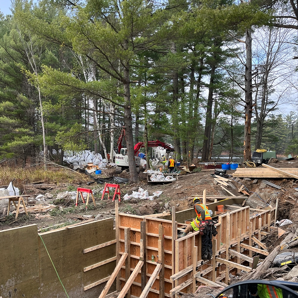 Shoreline Restoration