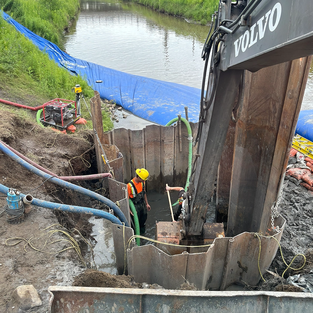 Shoreline Restoration