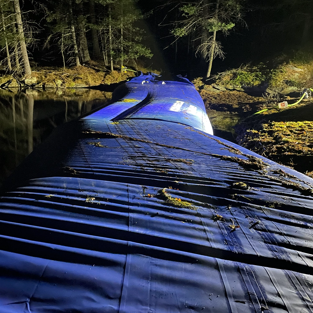 Shoreline Restoration