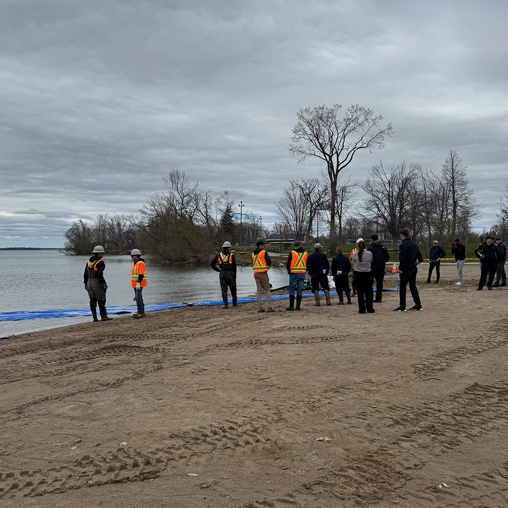 Shoreline Restoration
