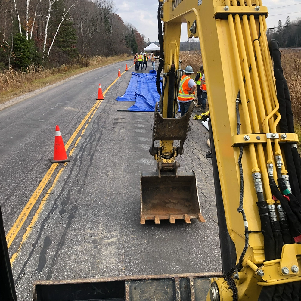 Shoreline Restoration