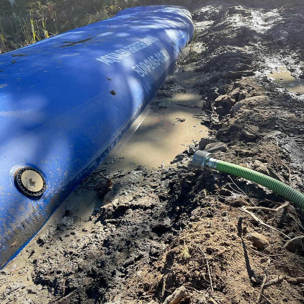 Shoreline Restoration